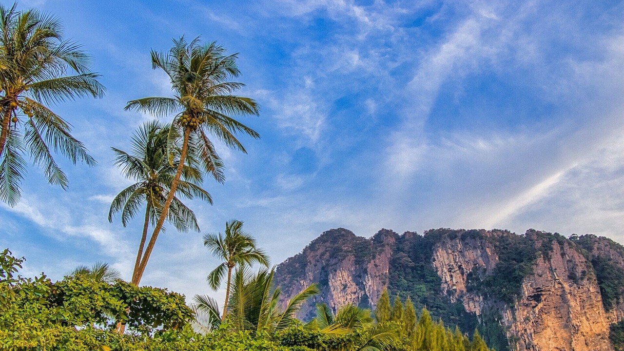 Photo of Outdoor in Five Oaks