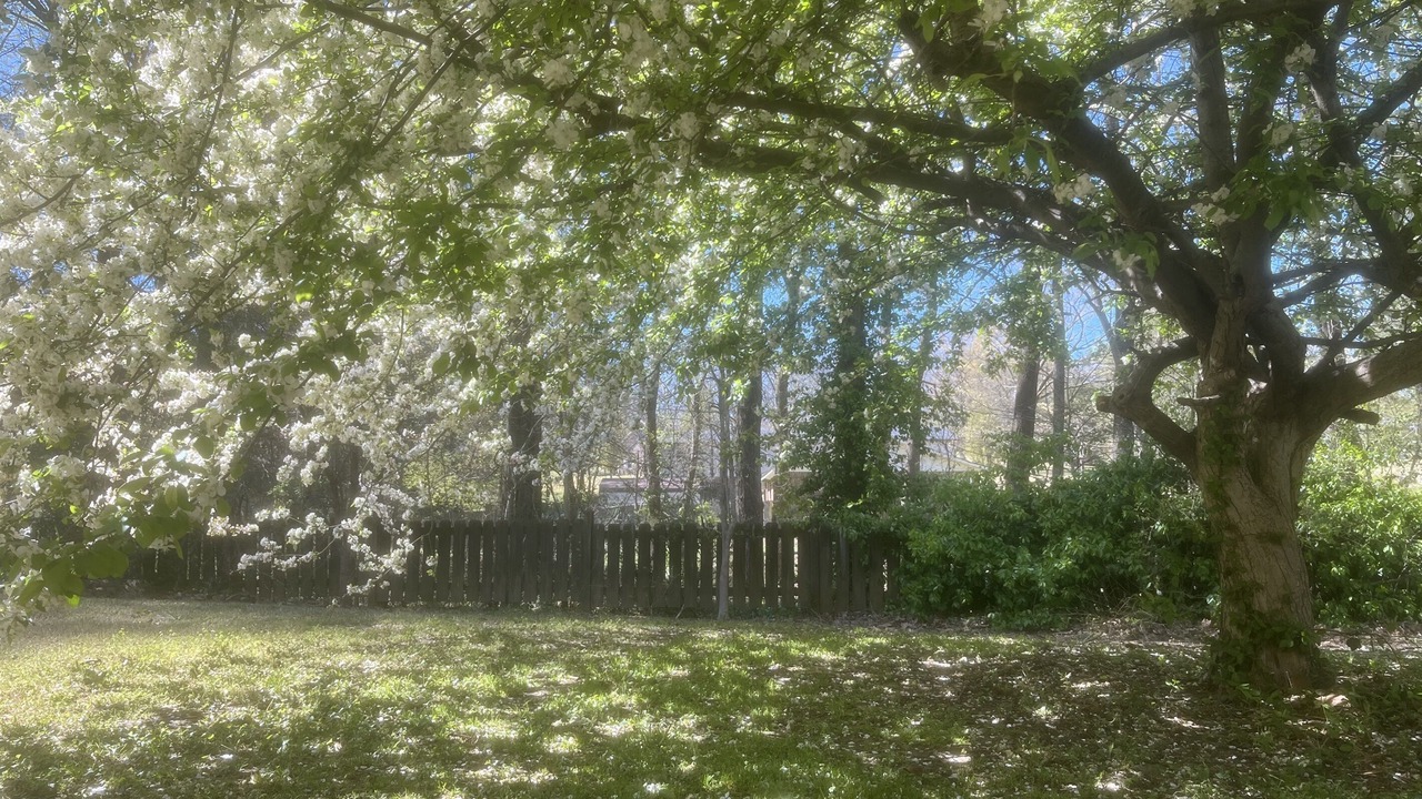 Photo of Others in Piggott