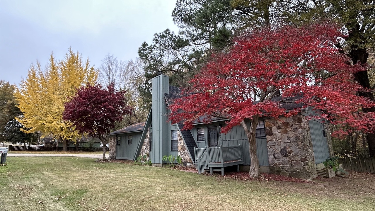 Photo of Outdoor in Piggott