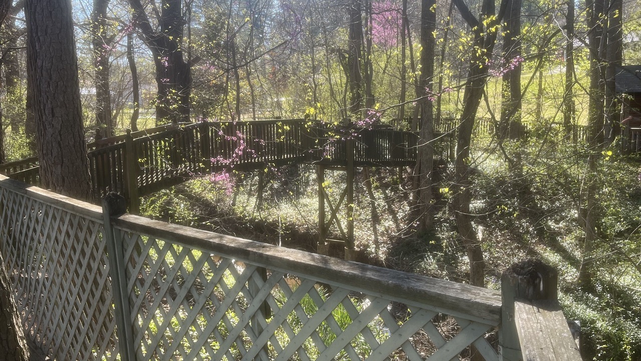 Photo of Others in Piggott