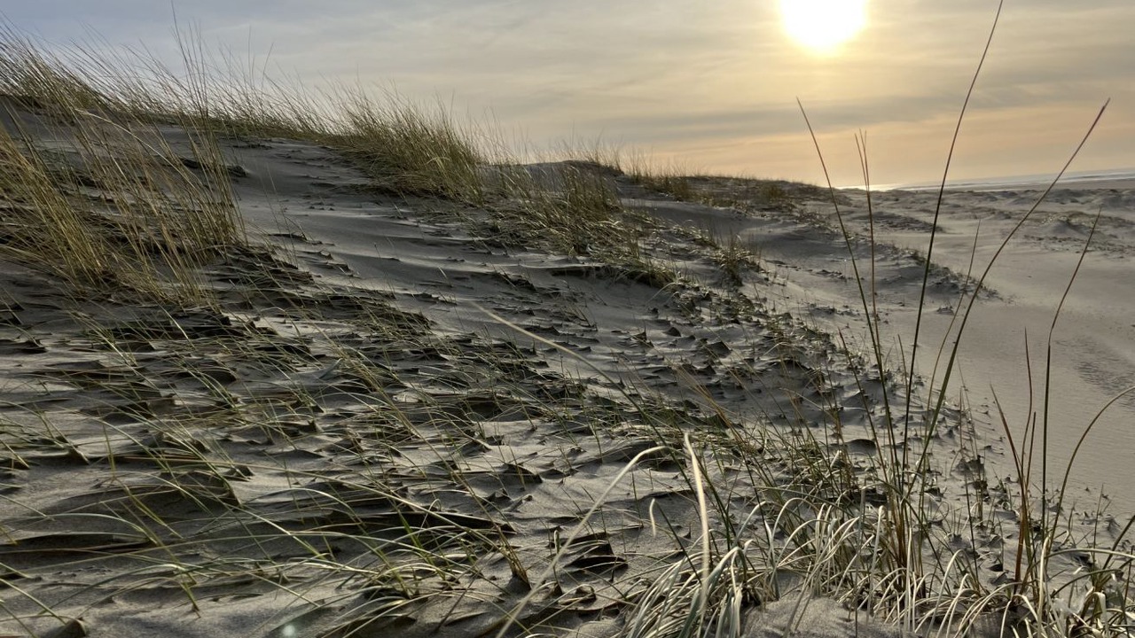 Photo of Others in Belle Dune