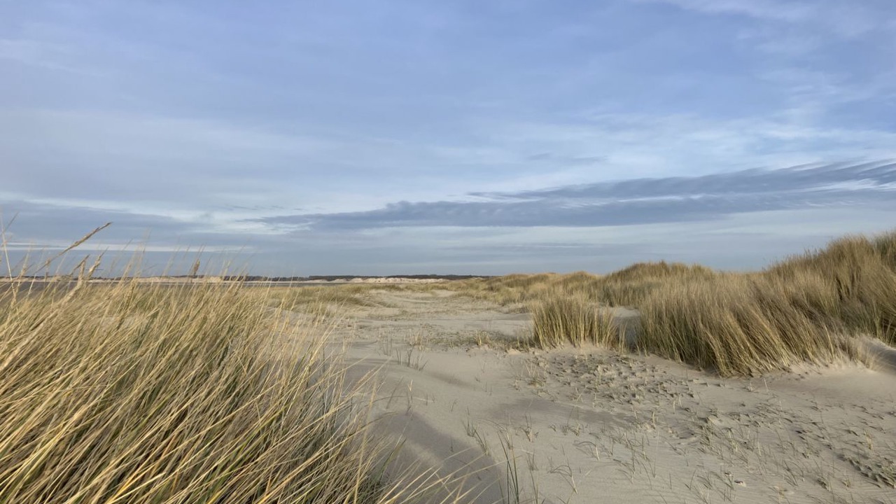 Photo of Others in Belle Dune