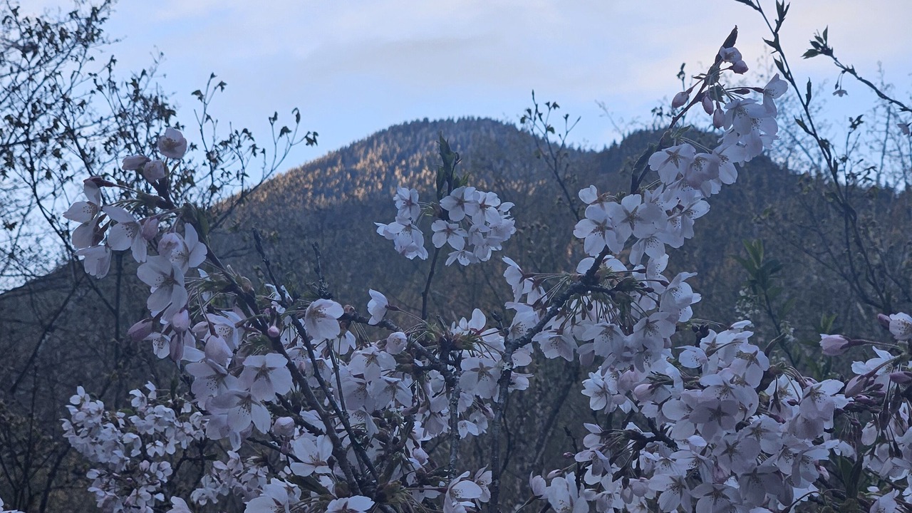 Photo of Outdoor in Marblemount