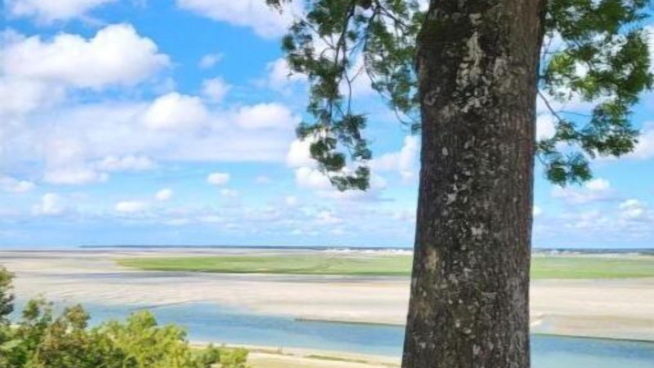 Photo of Others in Behen