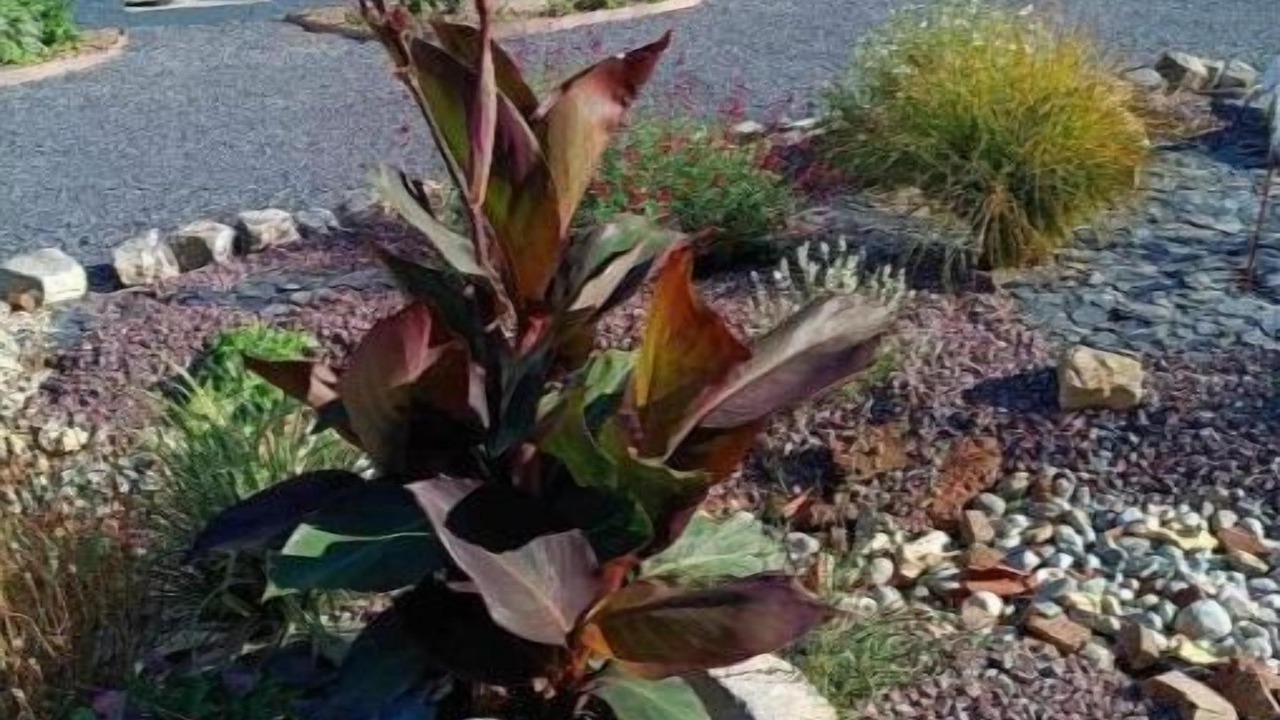 Photo of Outdoor in Behen