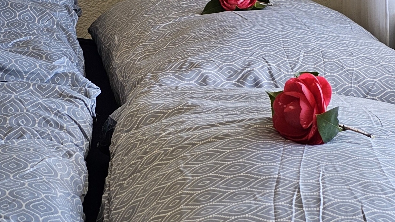 Photo of Bedroom in Brissago