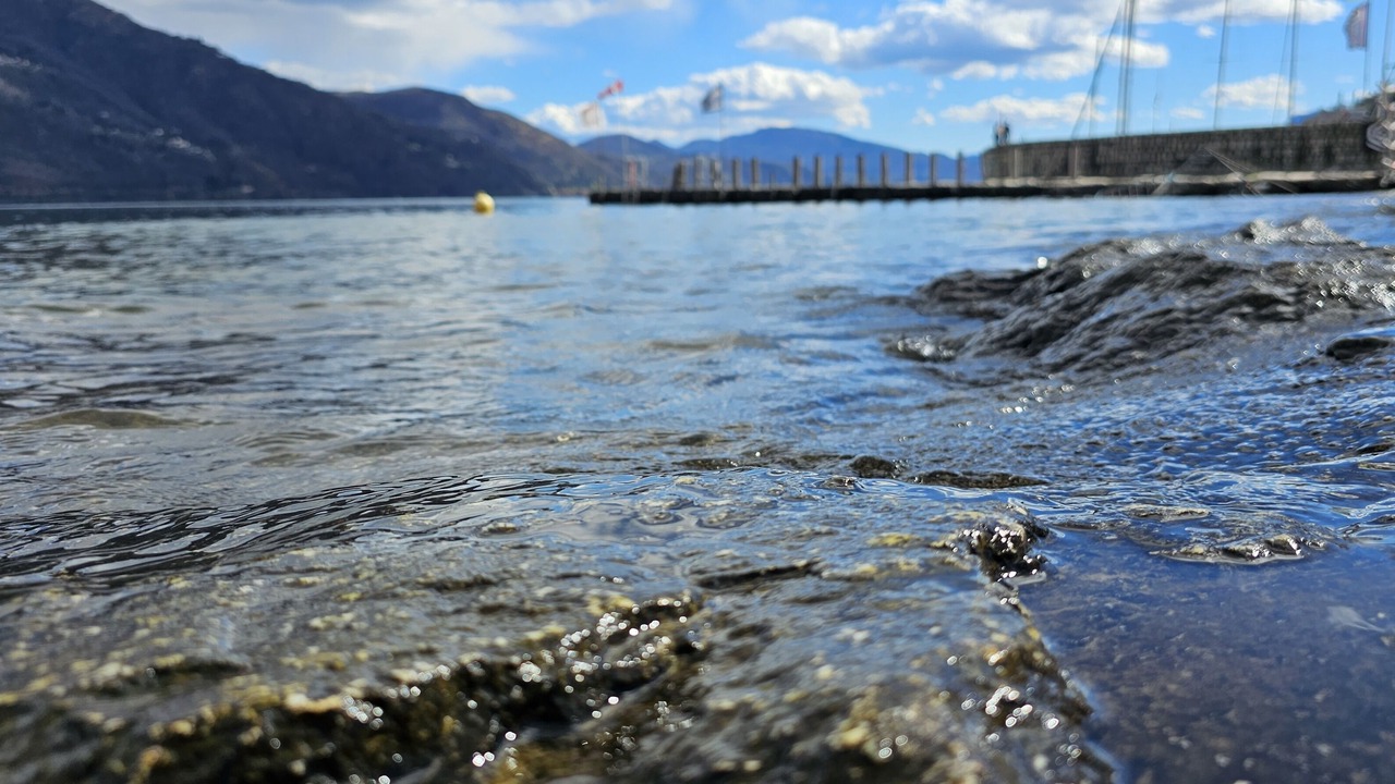 Photo of Others in Brissago