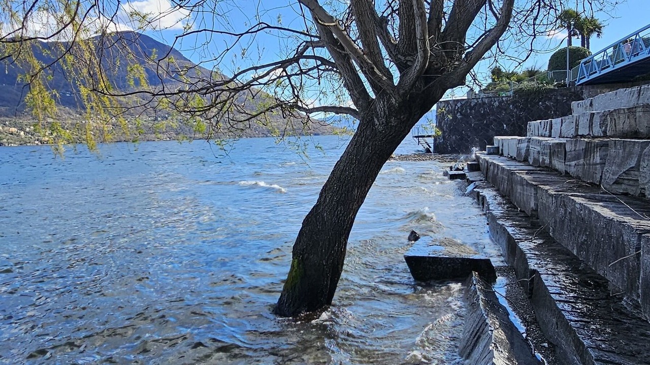 Photo of Others in Brissago