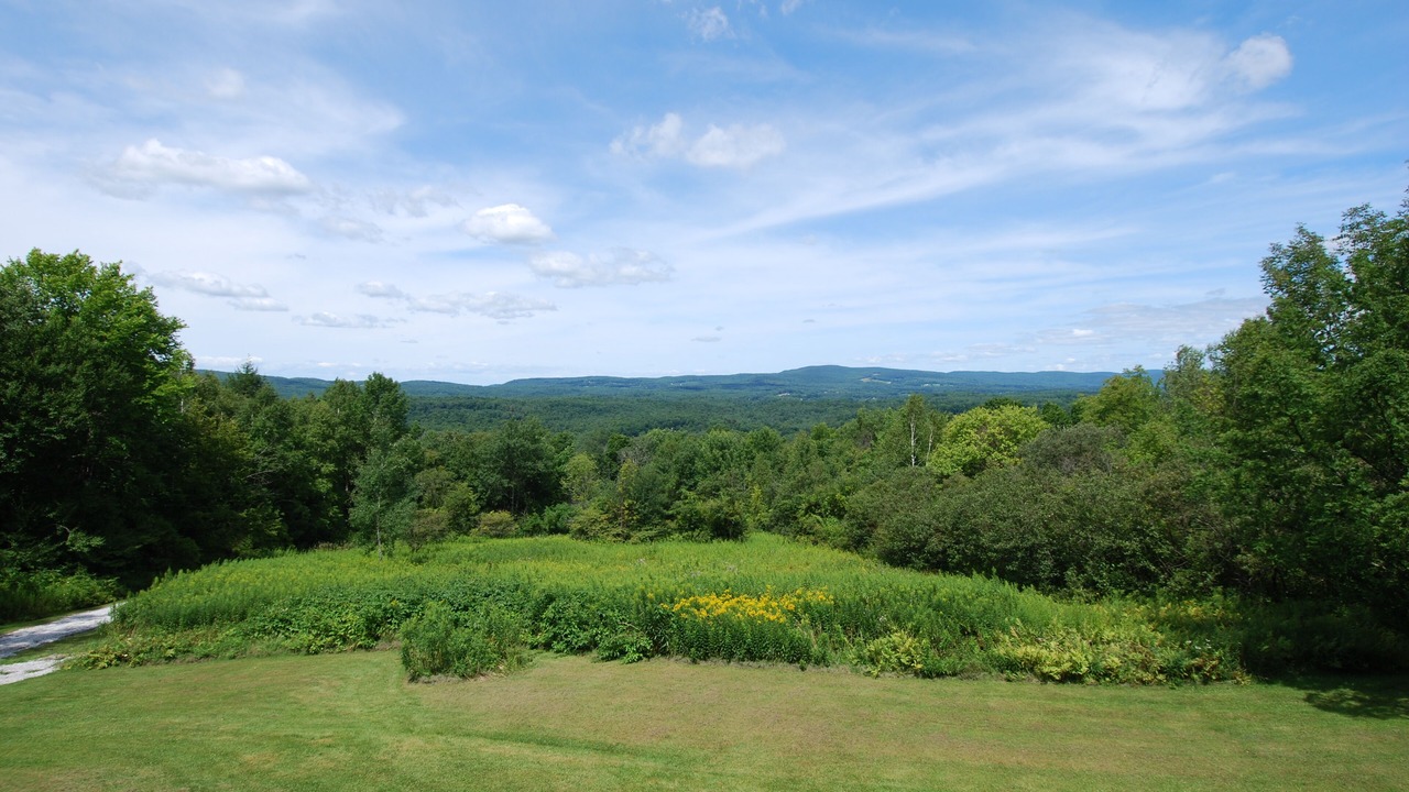 Photo of Others in West Stockbridge