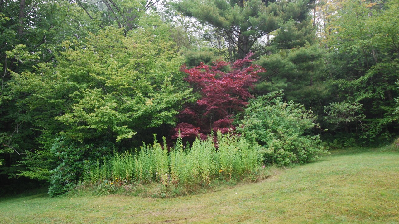 Photo of Outdoor in West Stockbridge
