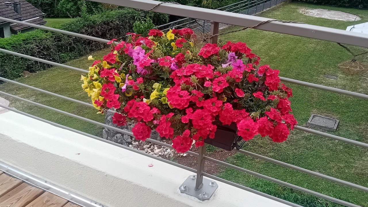 Photo of Outdoor in Saint-Paul-de-Varces