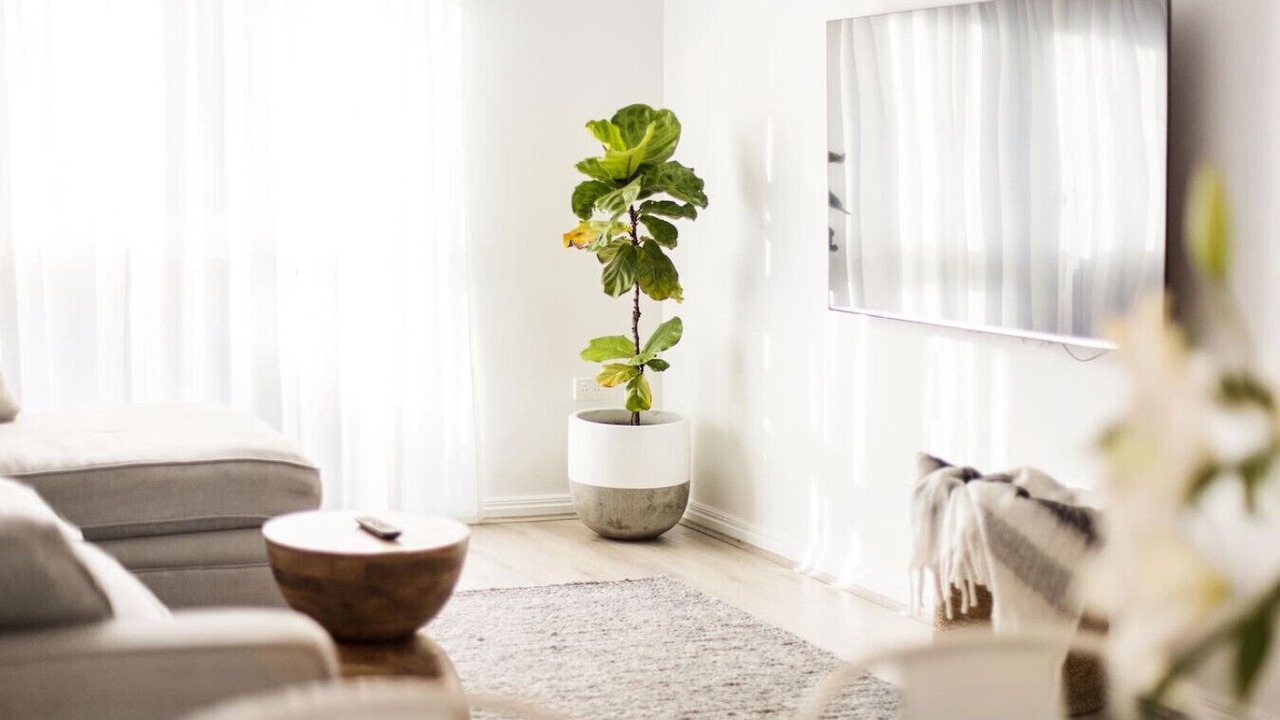 Photo of Others in Fullarton