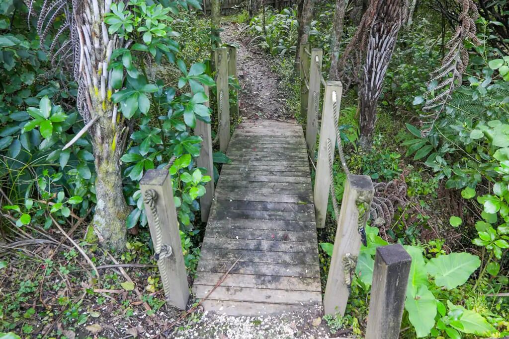 Photo of Outdoor in Manly