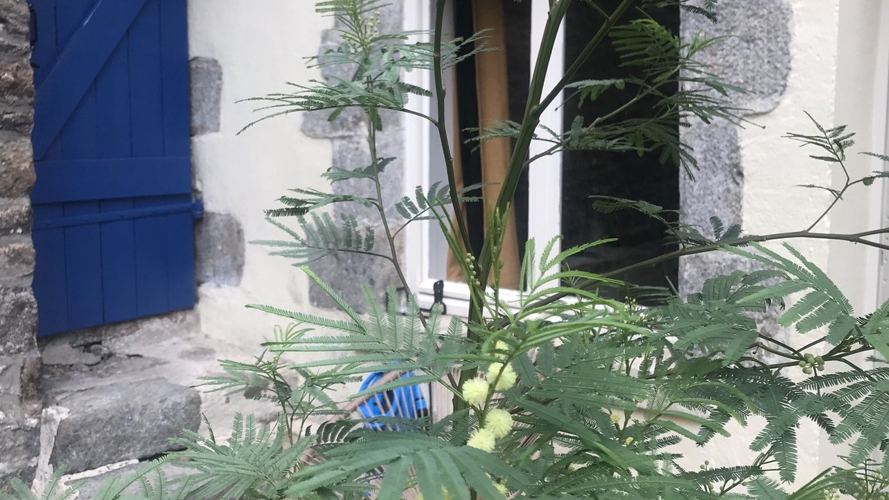 Photo of Outdoor in Dinan
