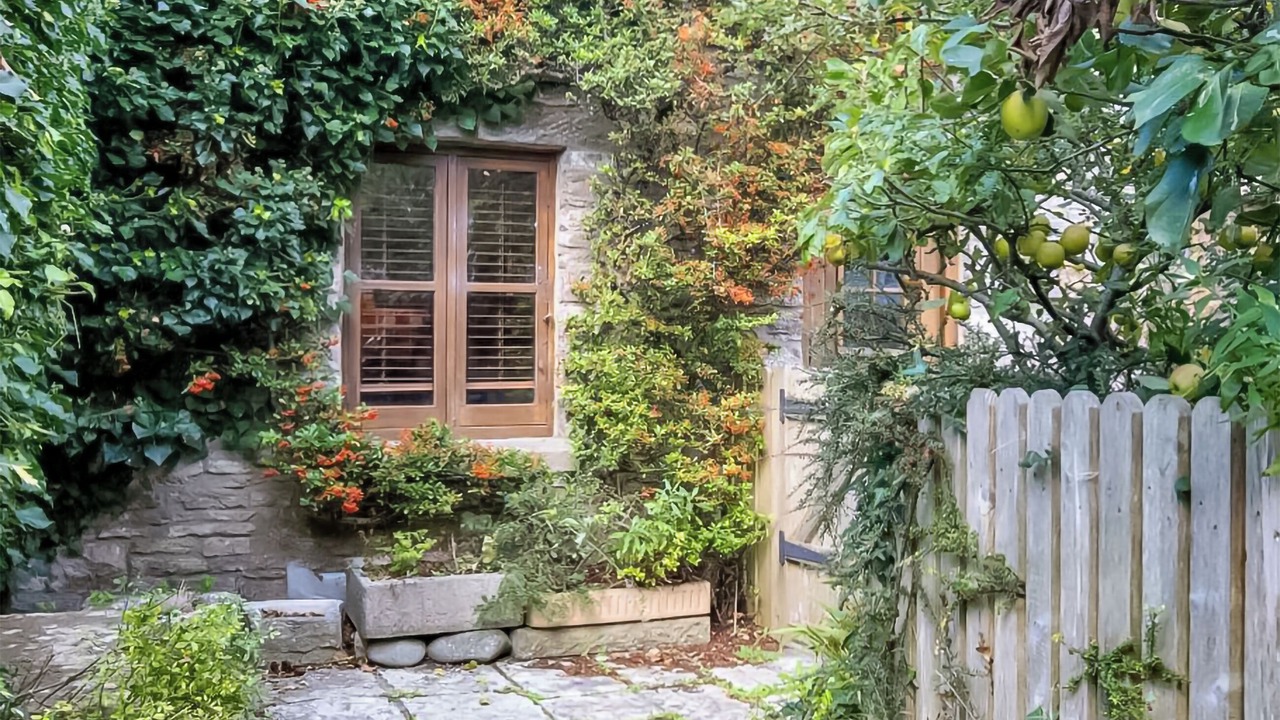 Photo of Outdoor in Langton Matravers