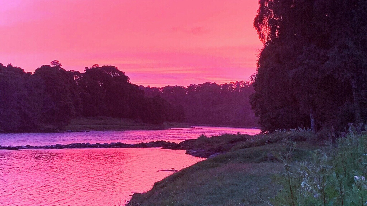 Photo of Others in Perth