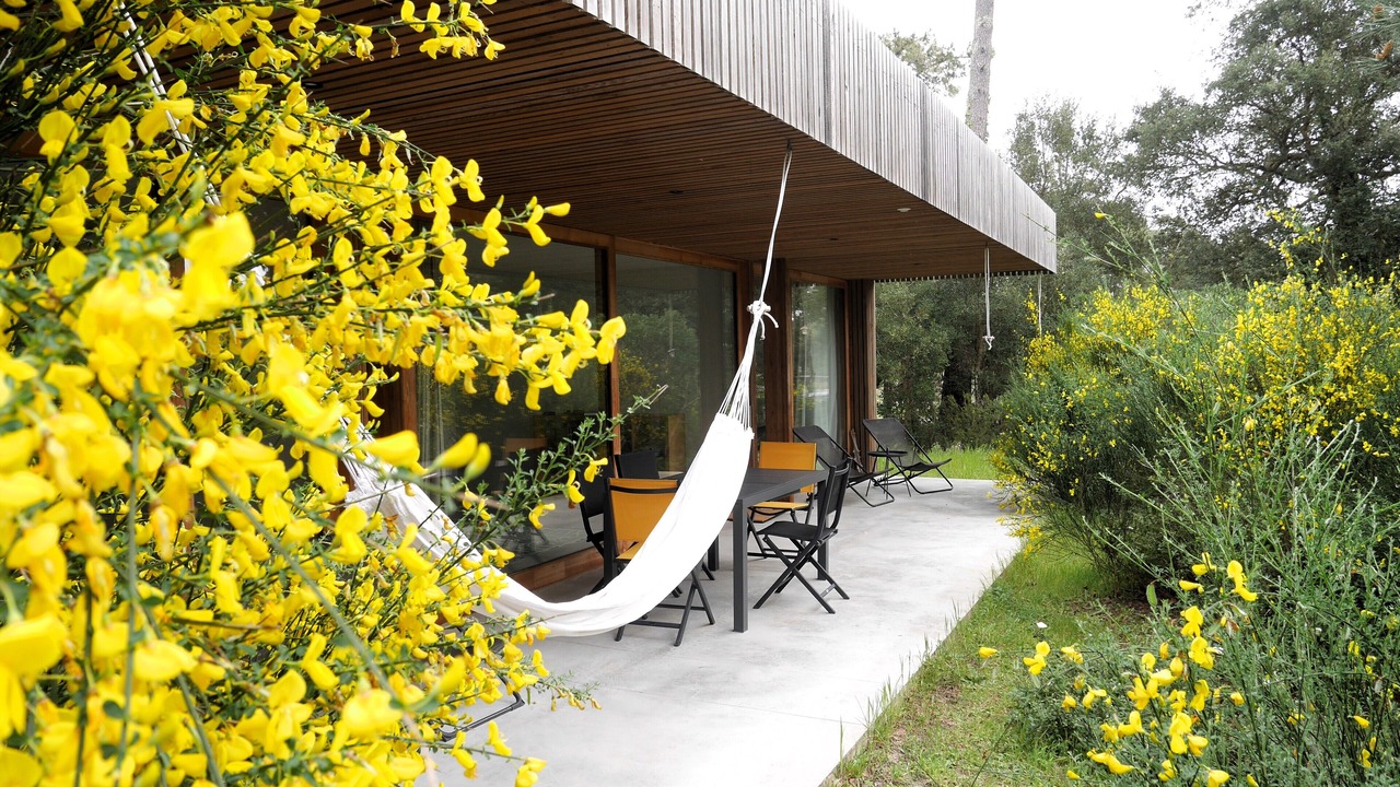Photo of Outdoor in Lit-et-Mixe