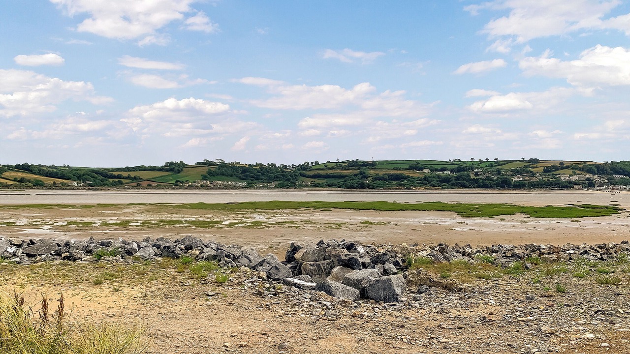 Photo of Others in Llanybri