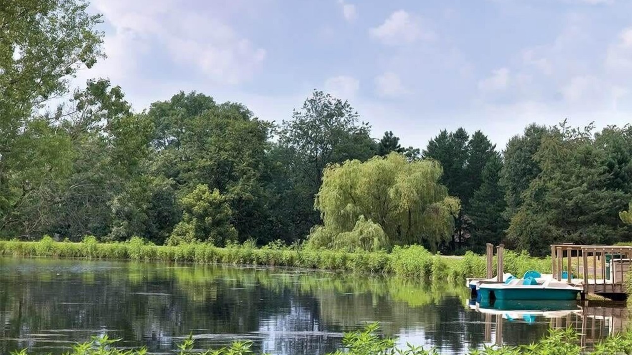 Photo of Others in Lake Delton