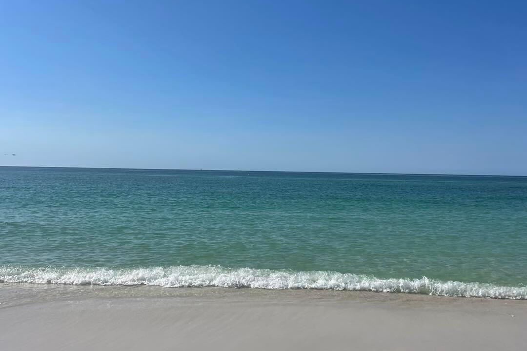 Photo of Others in Gulf Breeze