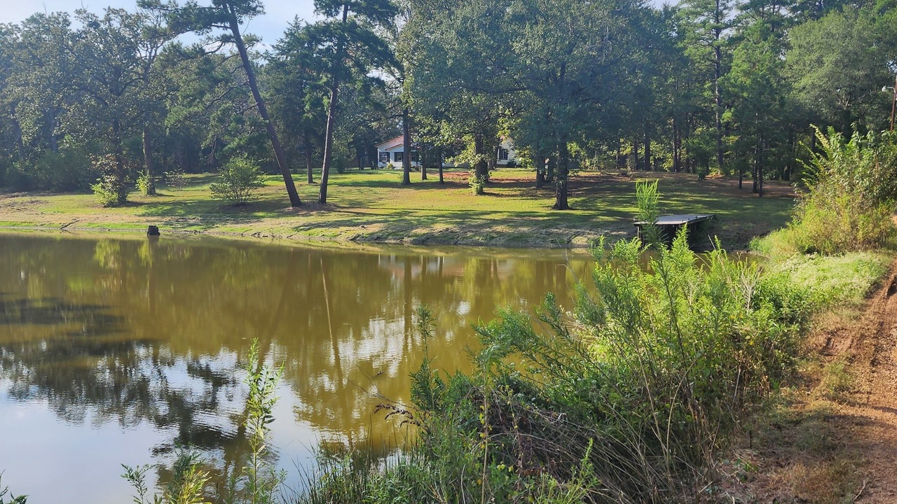 Photo of Outdoor in Mount Vernon