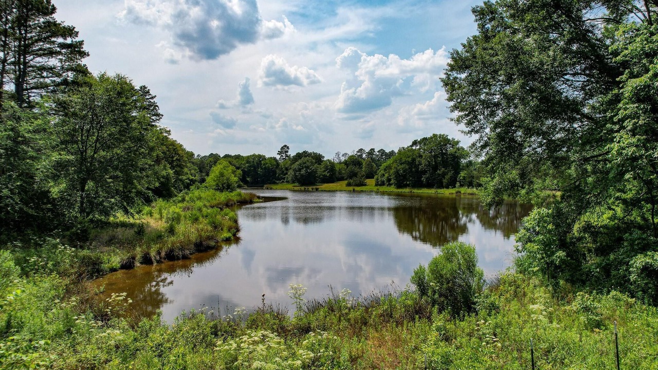 Photo of Outdoor in Mount Vernon