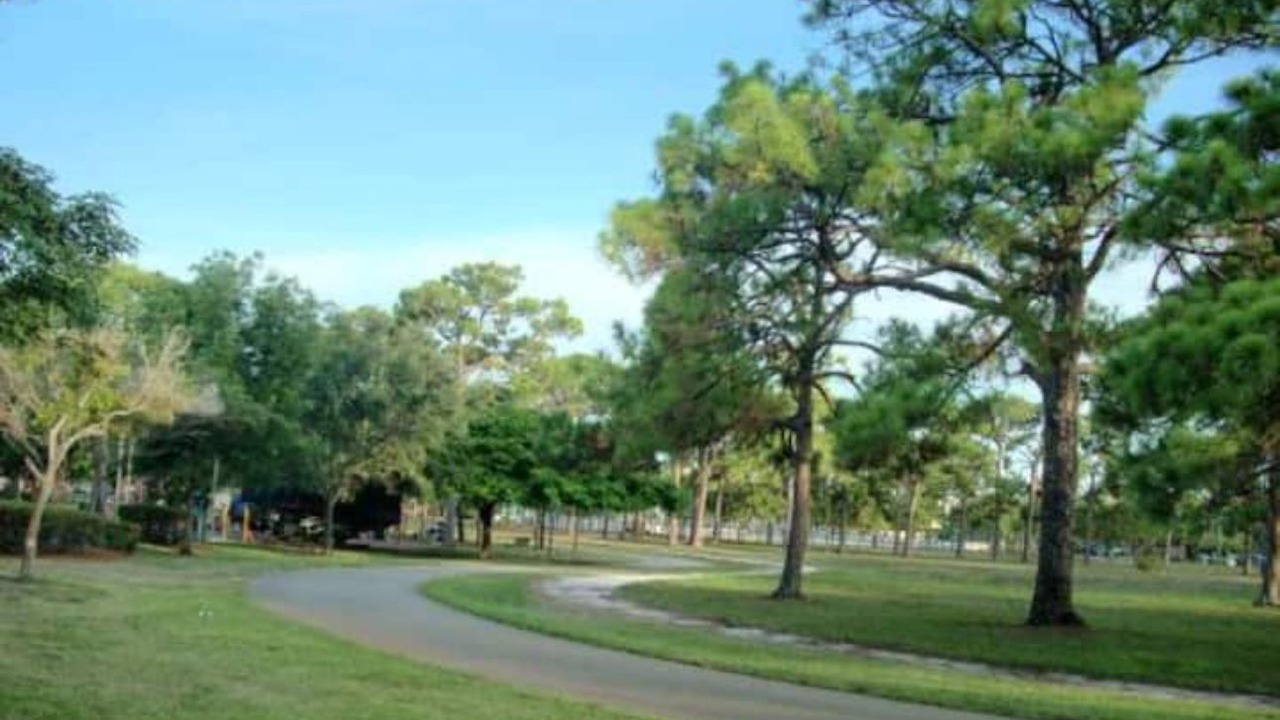 Photo of Others in Lake Ridge