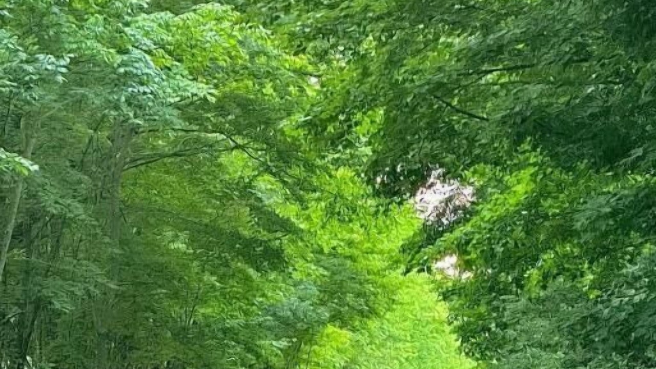 Photo of Others in Meredith