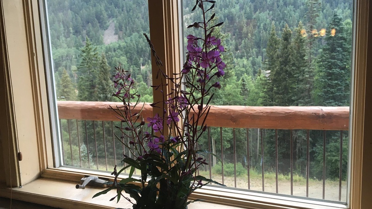 Photo of Bedroom in Taos Ski Valley
