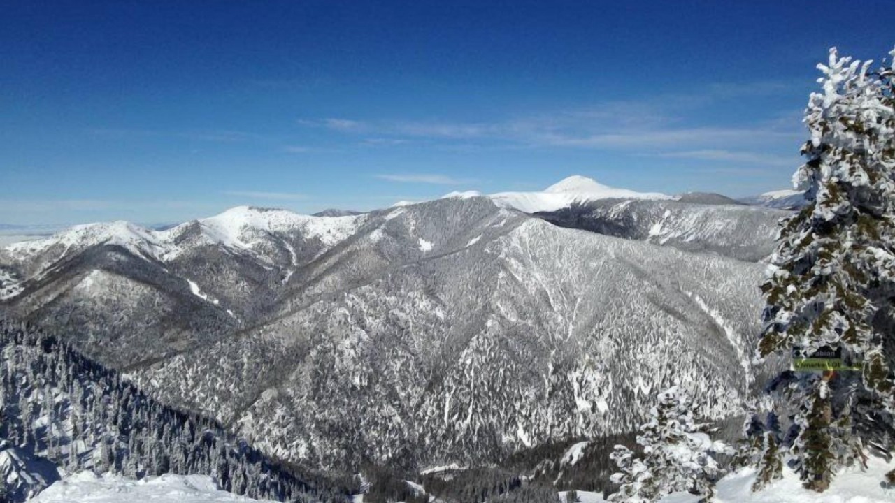 Photo of Others in Taos Ski Valley
