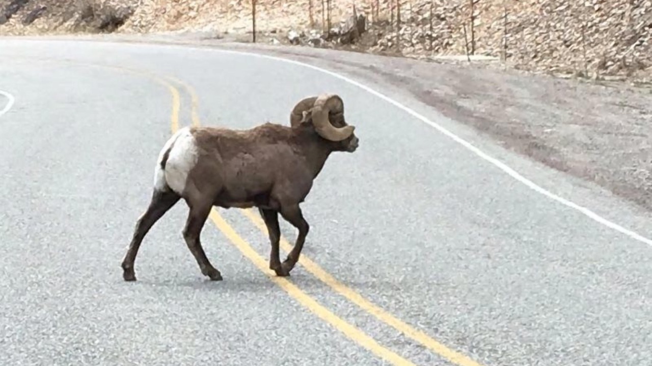 Photo of Others in Taos Ski Valley