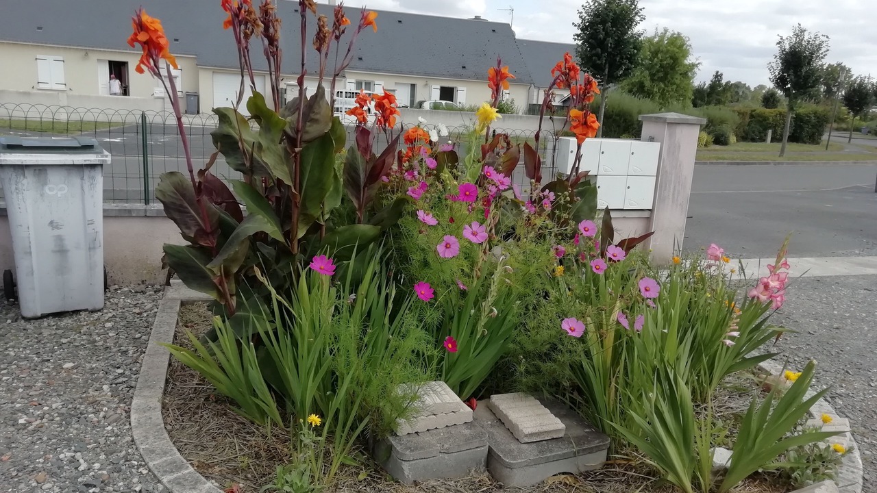Photo of Outdoor in Villeperdue