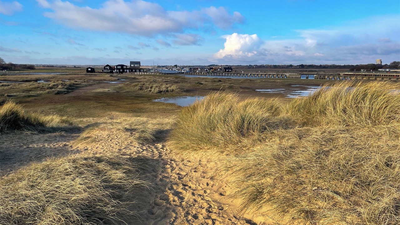 Photo of Others in Walberswick
