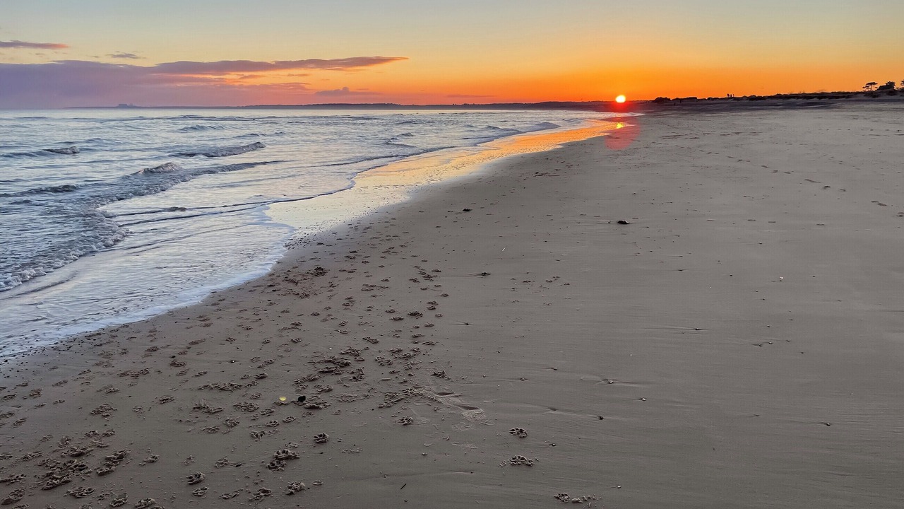 Photo of Others in Walberswick
