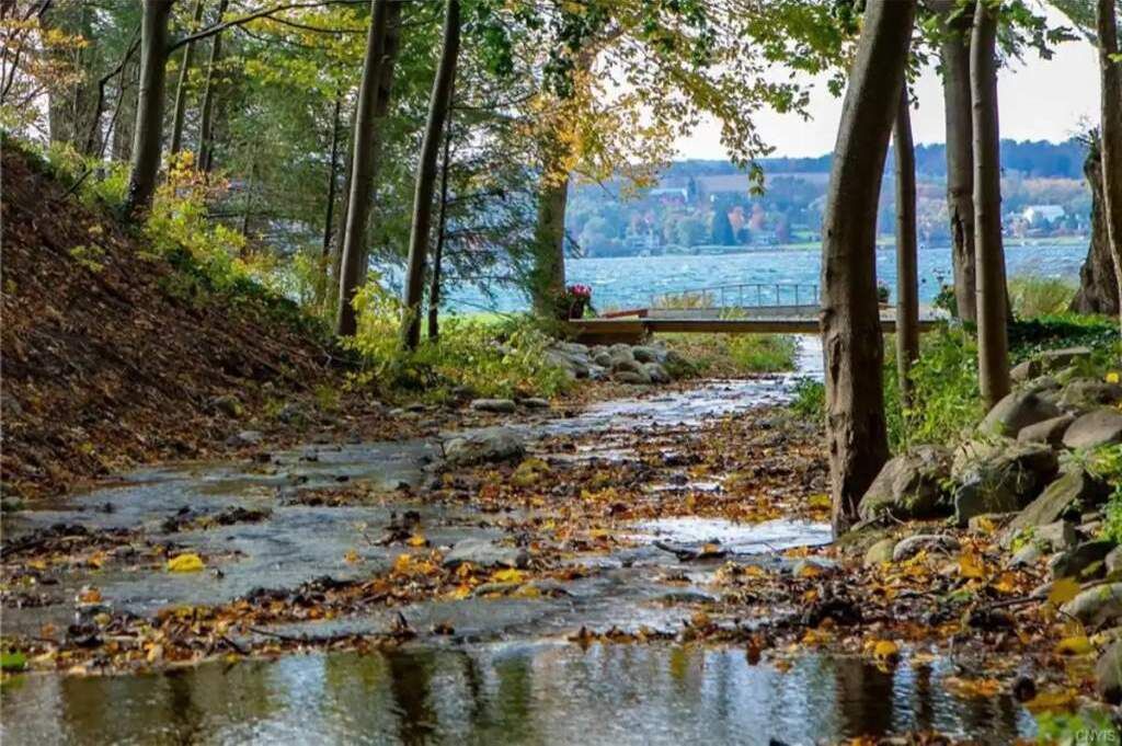 Photo of Others in Skaneateles