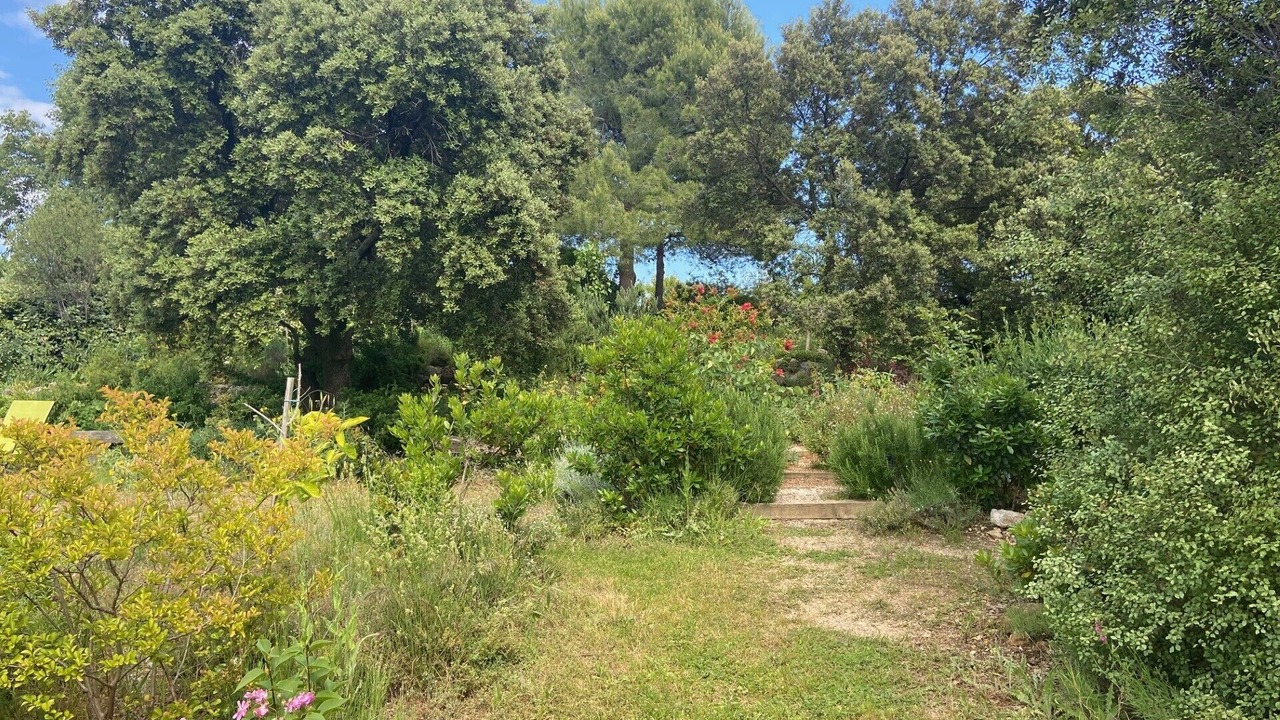 Photo of Outdoor in Saint-Gely-du-Fesc