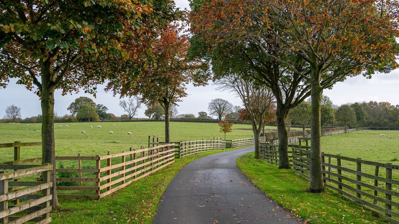 Photo of Others in Ripon