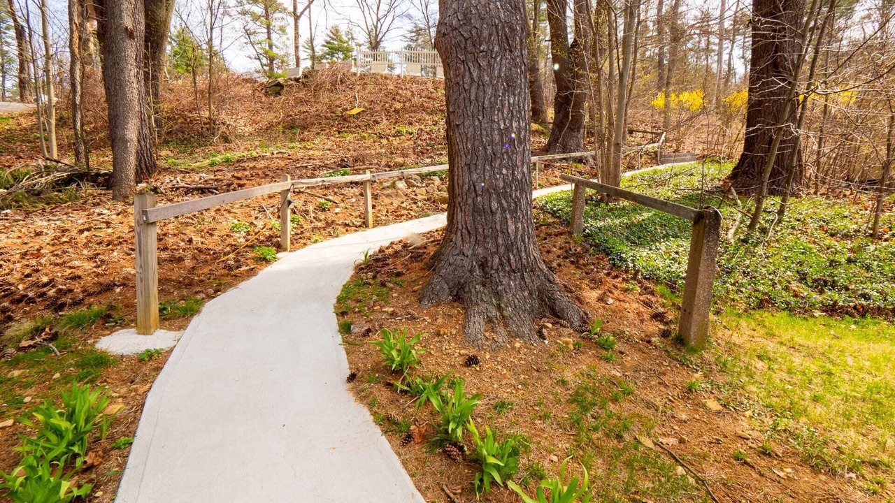 Photo of Outdoor in Holland