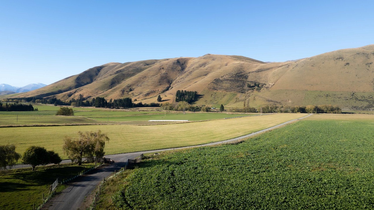Photo of Others in Mackenzie Country