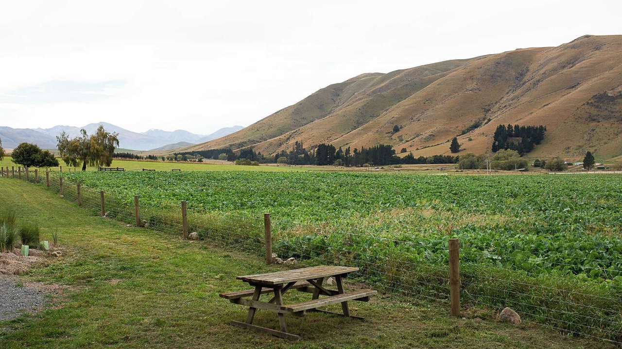 Photo of Others in Mackenzie Country