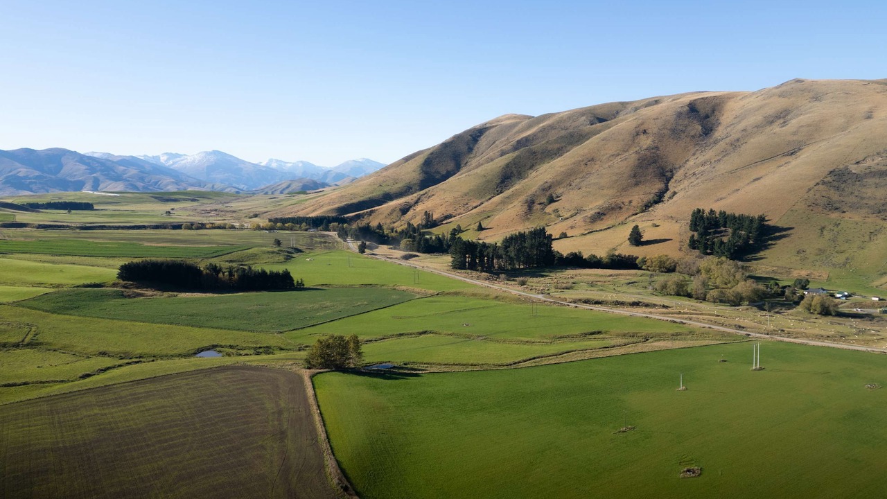 Photo of Others in Mackenzie Country