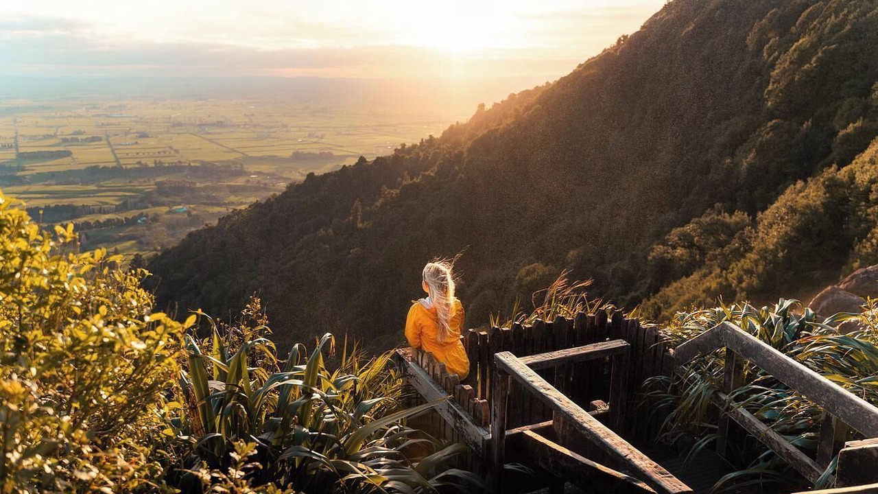 Photo of Others in Waharoa