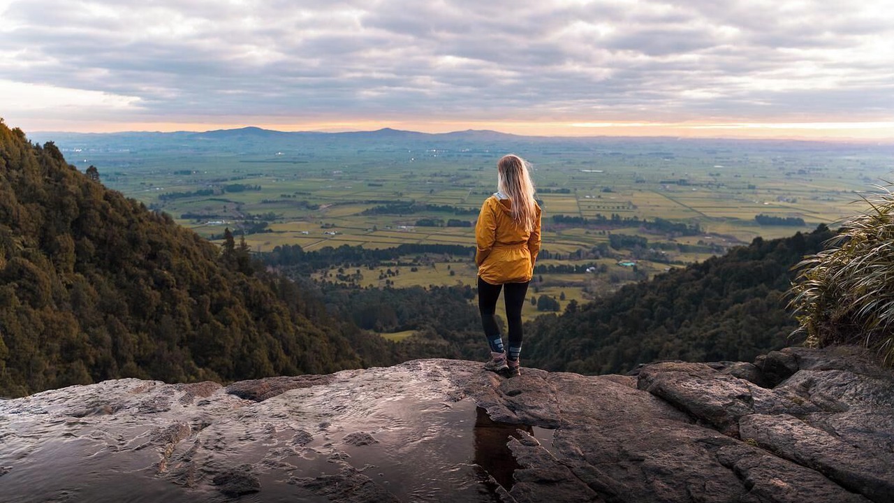 Photo of Others in Waharoa