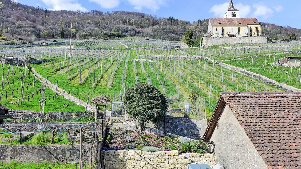 Photo of Others in Ligerz