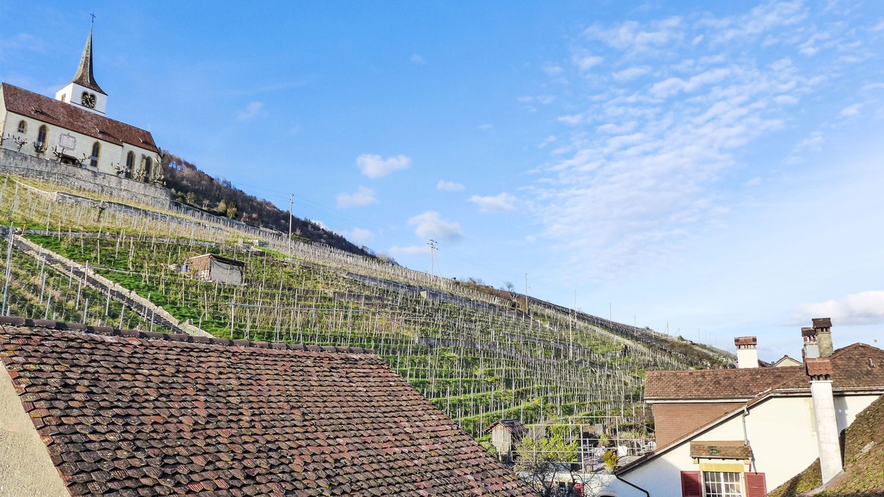 Photo of Others in Ligerz