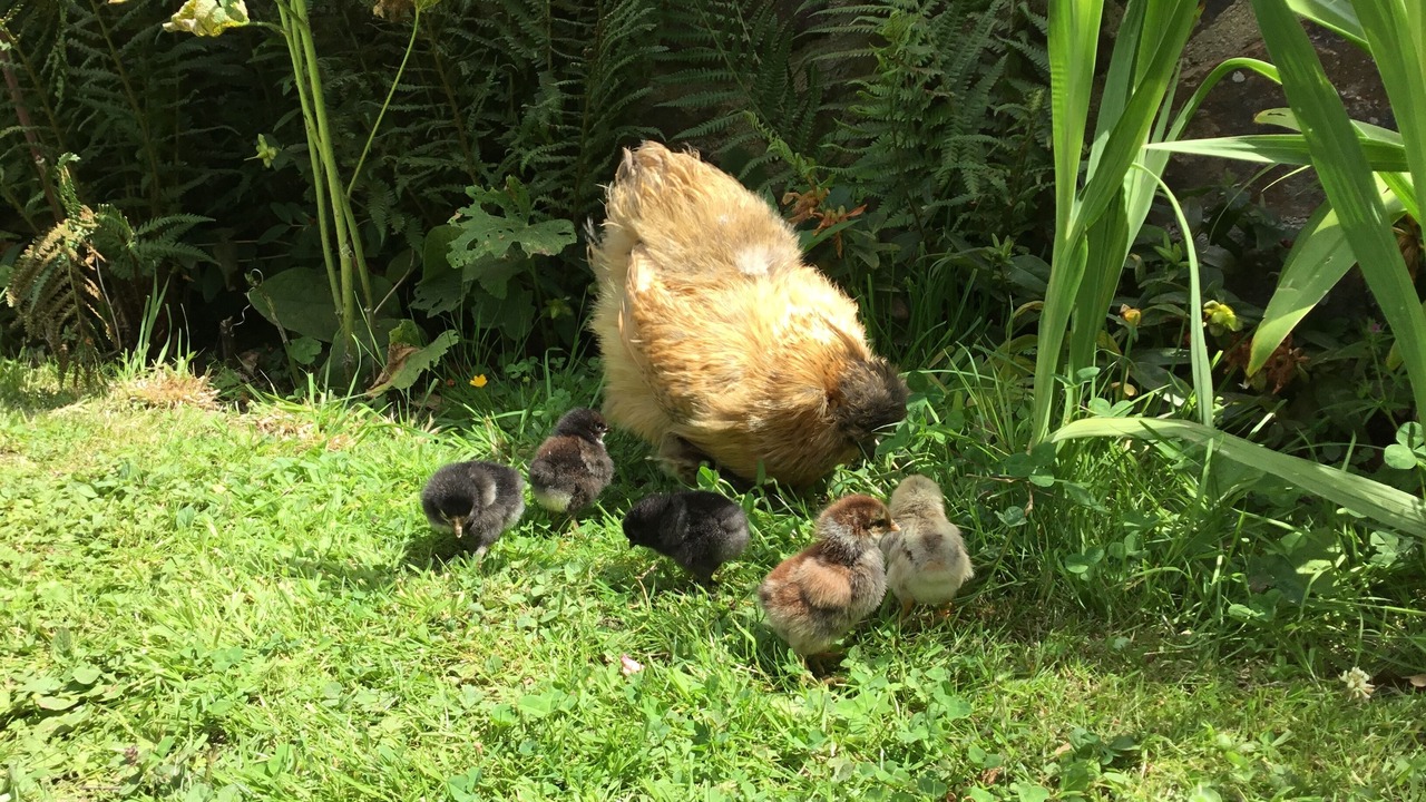 Photo of Outdoor in Le Ru