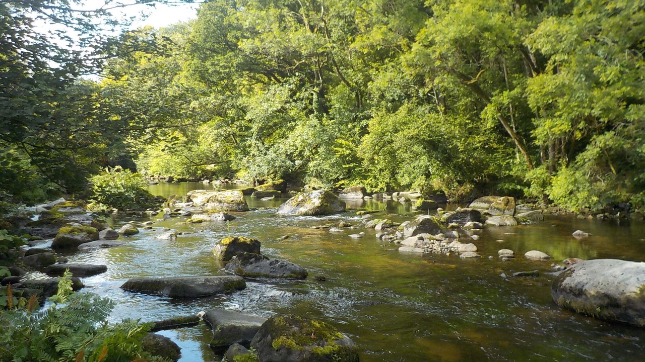 Photo of Others in Le Ru