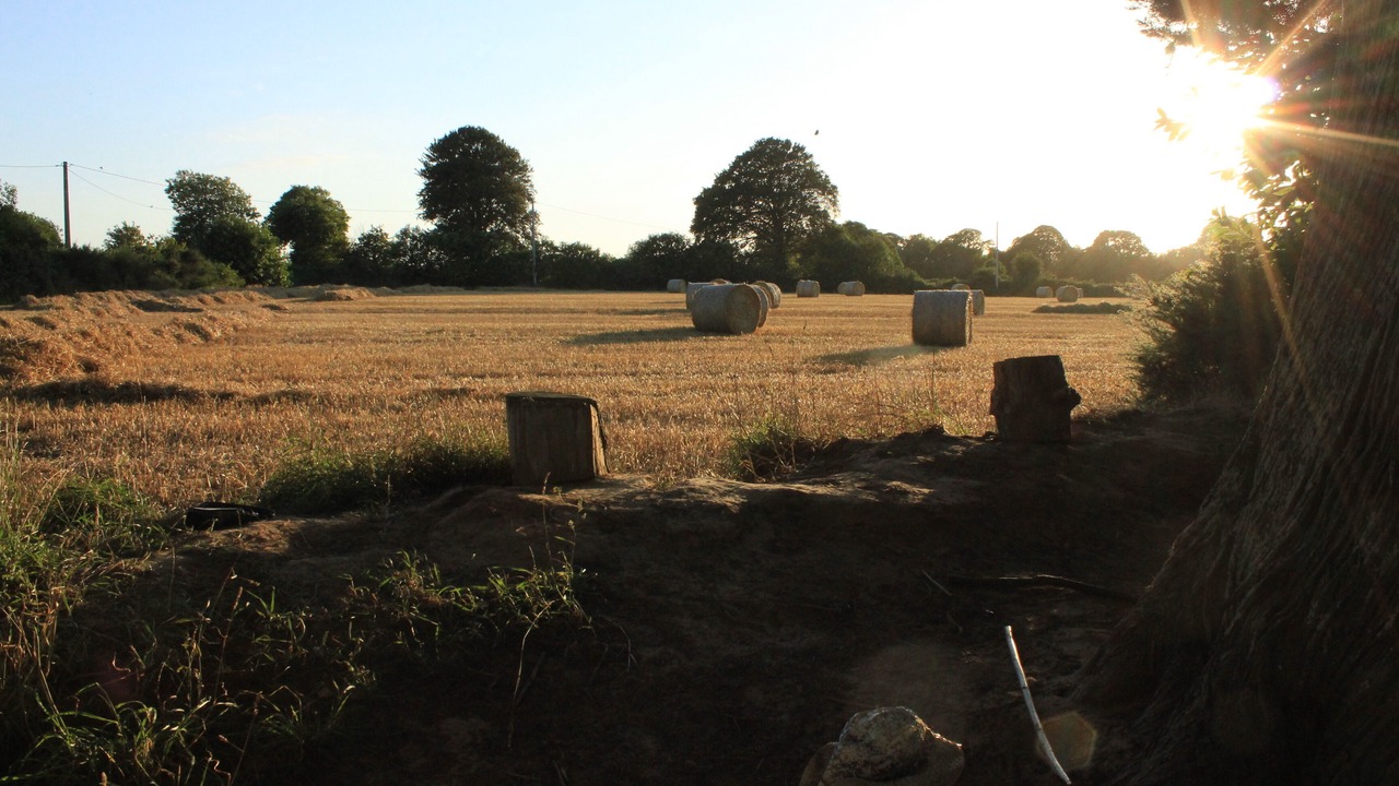 Photo of Others in Le Ru