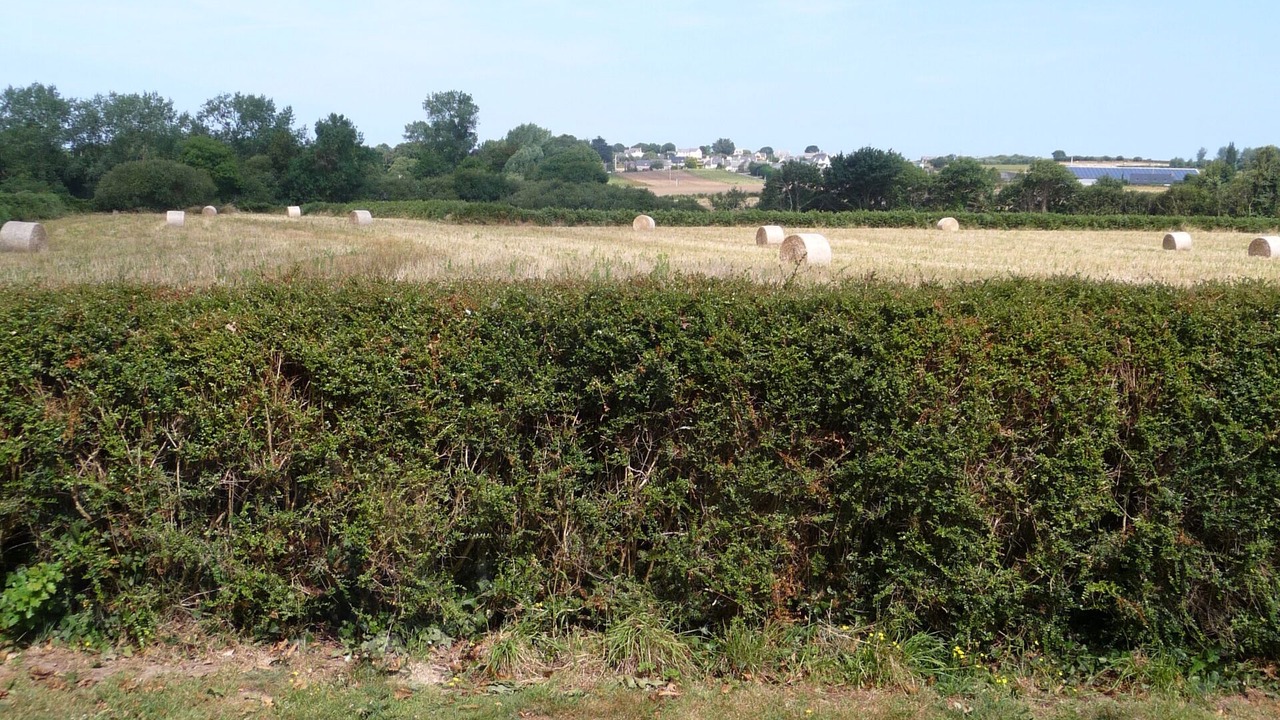 Photo of Outdoor in Le Ru