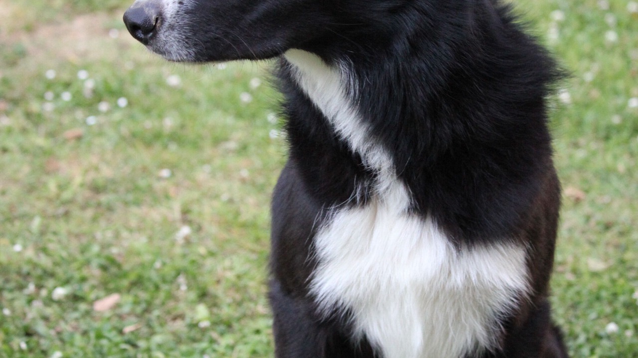 Photo of Others in Le Ru